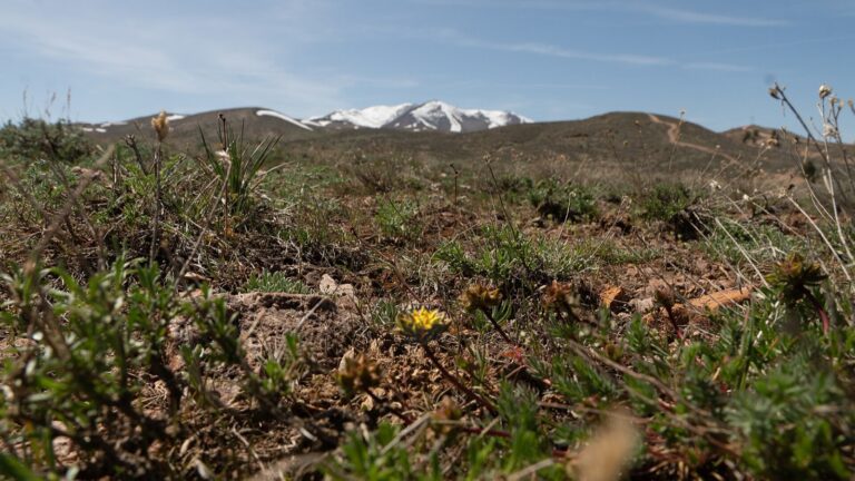 Peavine Peak rises above sagebrush-covered foothills northwest of Reno, Nevada