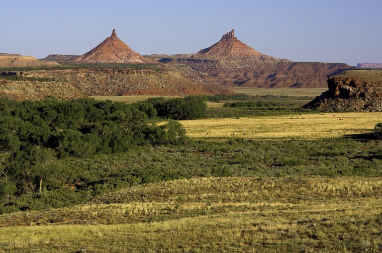 Red rock cliffs and desert scrub in the Indian Creek area of Bears Ears National Monument in Utah